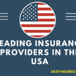 2024's Leading Insurance Providers in the USA A Complete Review